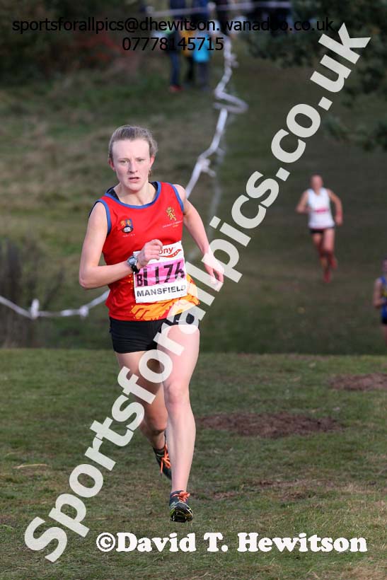 Senior women, 2016 National Cross Country Relays, Berry Hill Park, Mansfield. Photo: David T. Hewitson/Sports for All Pics